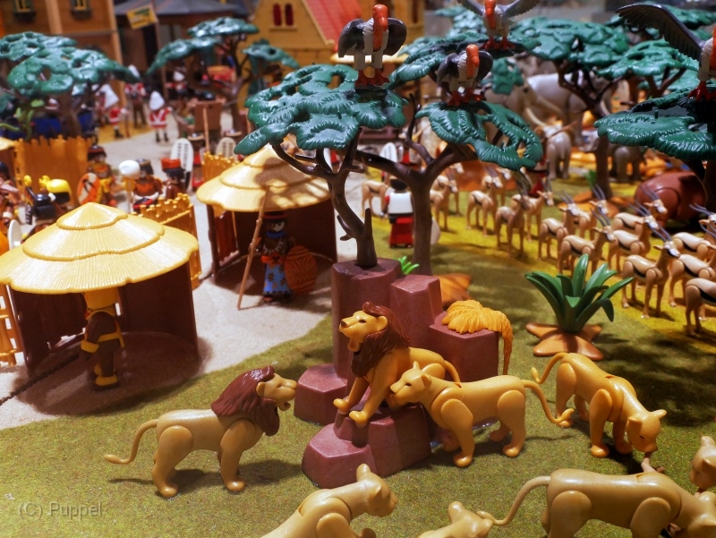 T160 afrika-P2590499a.jpg